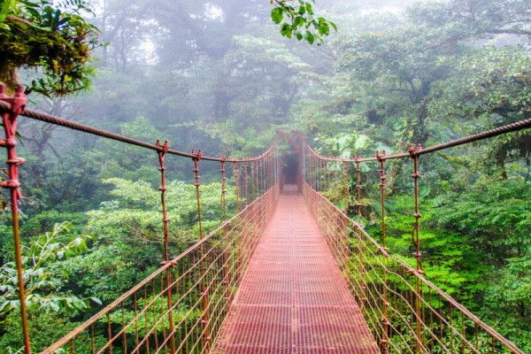 Circuit Forêt tropicale et plage ensoleillée pas cher photo 5