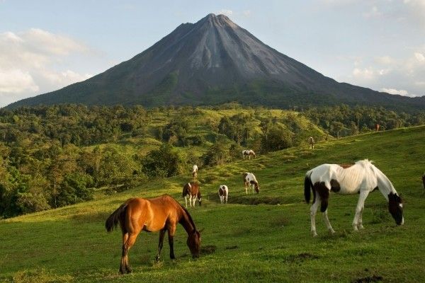 Circuit Forêt tropicale et plage ensoleillée pas cher photo 12