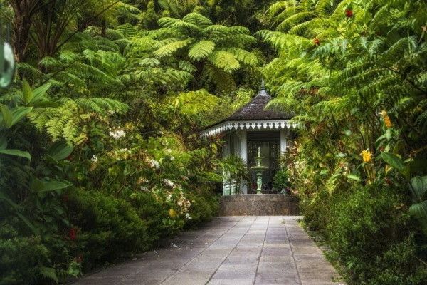 Circuit Découverte Métis pas cher photo 2