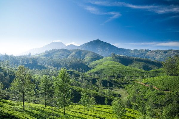 Circuit Kandy et la région du thé pas cher photo 1