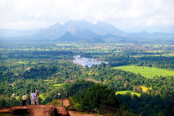 Circuit Kandy et la région du thé pas cher photo 7
