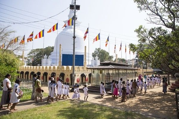 Circuit Kandy et la région du thé pas cher photo 9