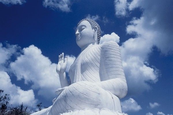 Circuit Kandy et la région du thé pas cher photo 10