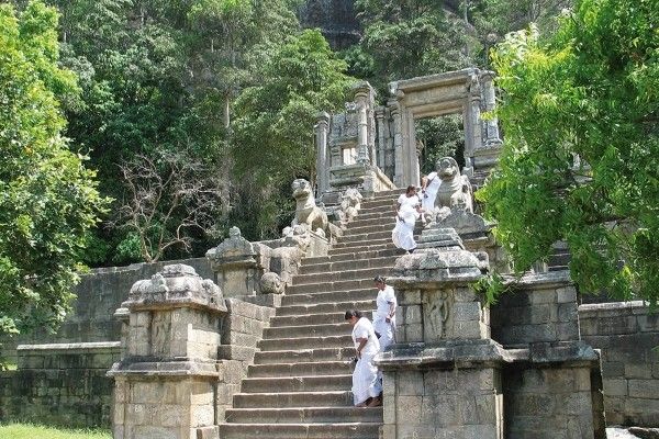 Circuit Kandy et la région du thé pas cher photo 12