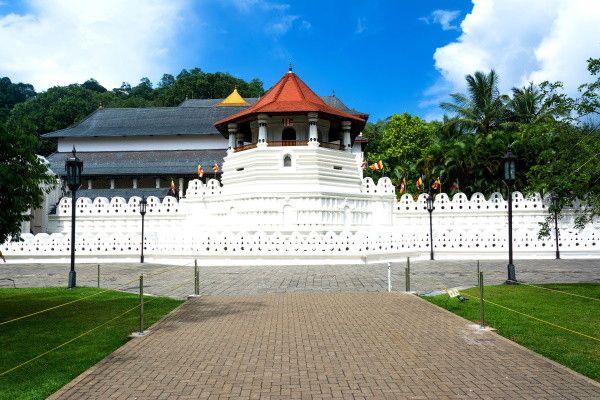 Circuit Kandy et la région du thé pas cher photo 18