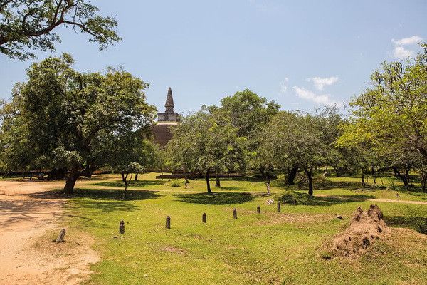 Circuit Kandy et la région du thé pas cher photo 21