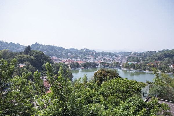 Circuit Kandy et la région du thé pas cher photo 23