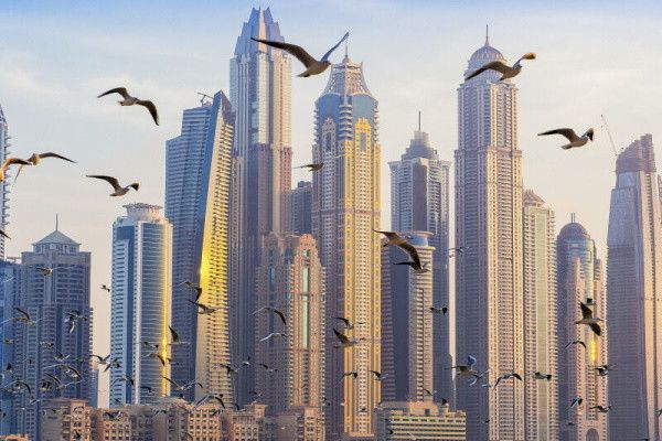 Circuit Il Etait Une Fois Deux Emirats 3* pas cher photo 14