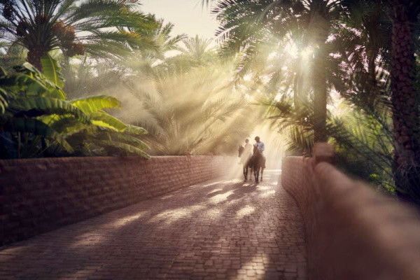 Circuit Trésors Des Emirats 5* pas cher photo 6