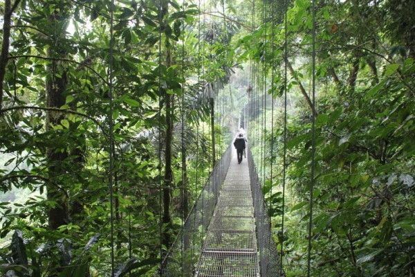 Circuit Jungles Et Forets 8 nuits pas cher photo 6