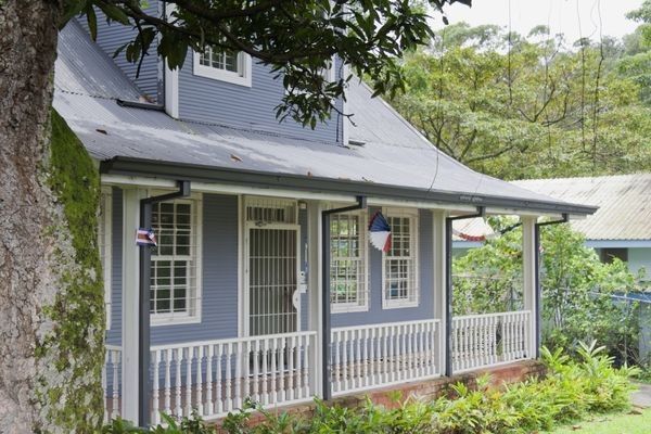 Circuit Jungles Et Forets pas cher photo 12