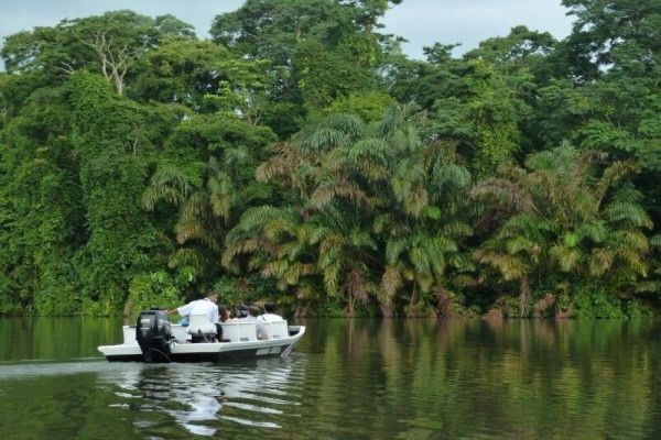 Circuit Jungles Et Forets + Extension 2 nuits Barcelo Playa Tambor pas cher photo 5