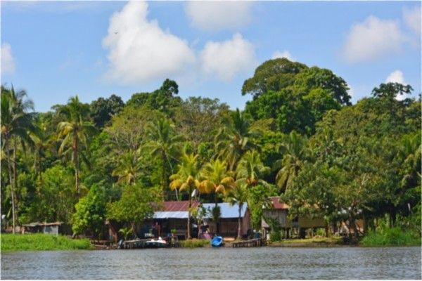 Circuit Jungles Et Forets + Extension 2 nuits Barcelo Playa Tambor pas cher photo 11