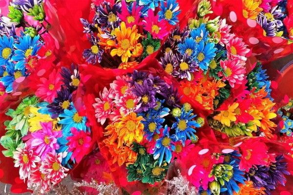 Circuit Rendez-vous en Colombie et extension Santa Marta pas cher photo 7