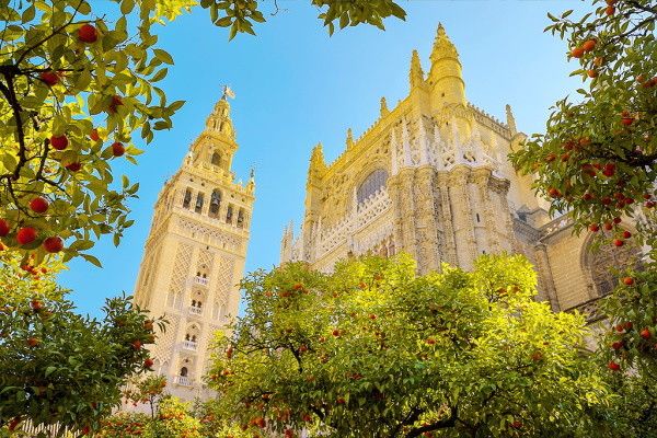 Autotour Viva Andalousie 5* pas cher photo 1