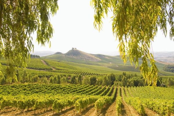 Circuit Grand Tour de la Sicile 4* pas cher photo 4