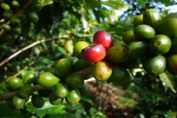 Circuit Nature et plage en hôtels 2* et 3* pas cher photo 5