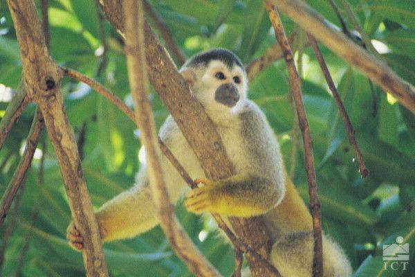 Circuit Nature et plage en hôtels 2* et 3* pas cher photo 7