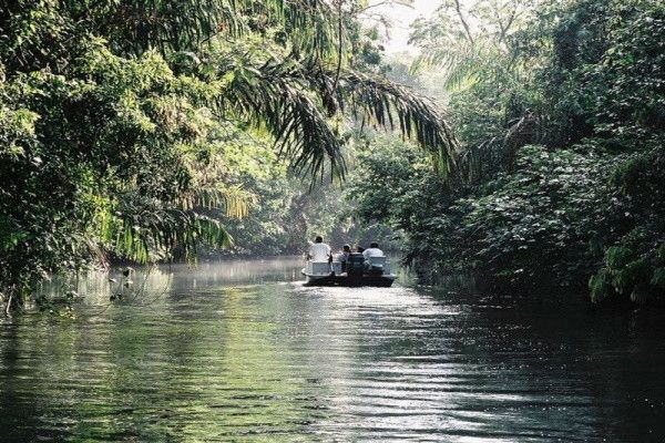 Circuit Trésors du Costa Rica pas cher photo 9