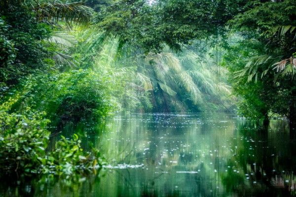 Circuit En Liberté - Merveilles essentielles du Costa Rica pas cher photo 5