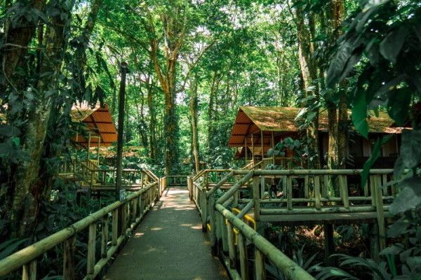 Autotour La découverte du Costa Rica pas cher photo 3