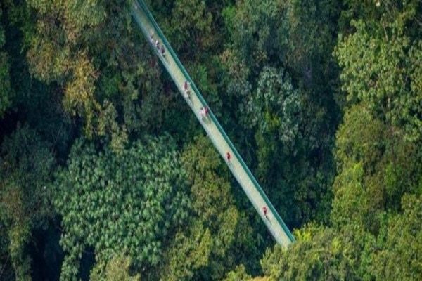 Autotour 100% Pura Vida : sport et aventure pas cher photo 5