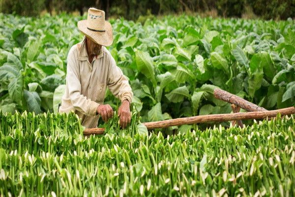 Circuit au Charme Cubain & Extension Paradisus Princesa del Mar 5* pas cher photo 3