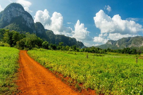 Circuit au Charme Cubain & Extension Royalton Hicacos 5* pas cher photo 5