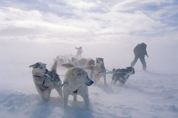 Circuit Magie inoubliable en Arctique pas cher photo 3