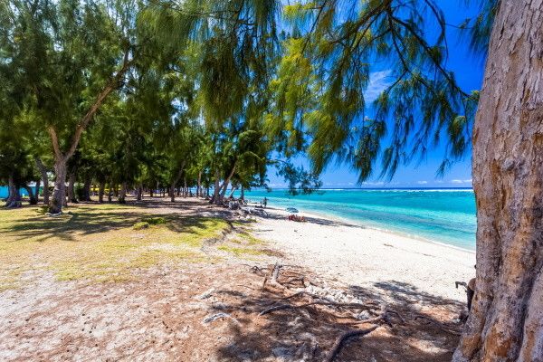 Autotour Terre d'Ananas pas cher photo 2