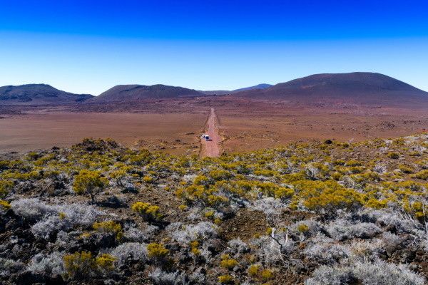 Autotour Terre d'Ananas pas cher photo 6