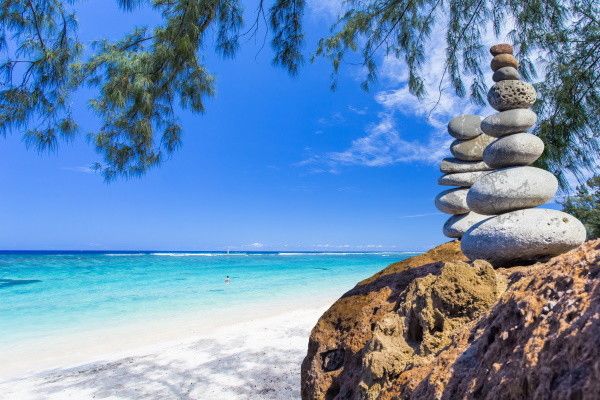 Autotour Terre d'Ananas pas cher photo 11