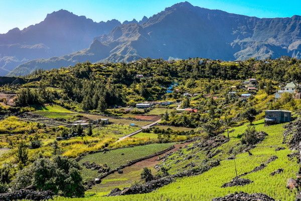 Autotour Terre d'Ananas pas cher photo 13