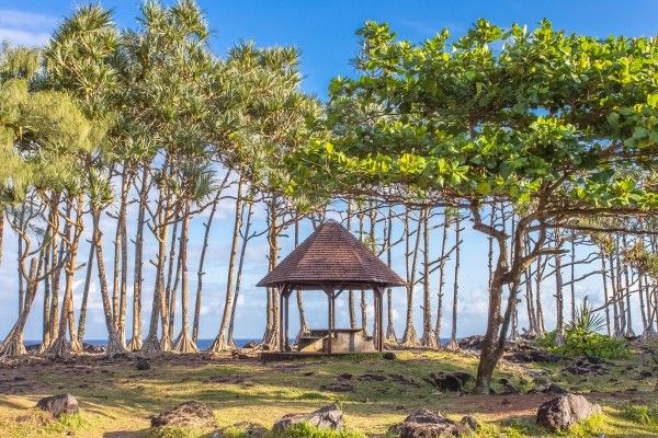 Autotour Terre d'Ananas pas cher photo 20