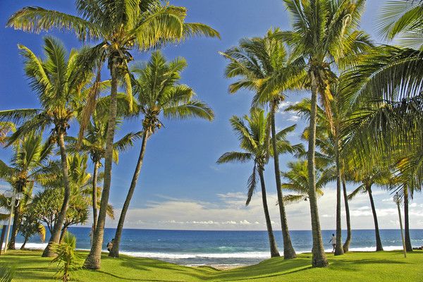 Autotour Terre d'Azalees pas cher photo 20