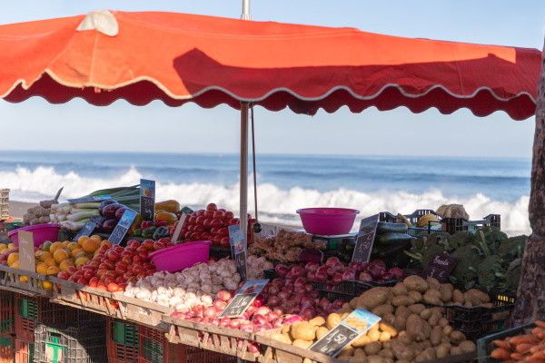 Autotour Terre de Piment pas cher photo 12