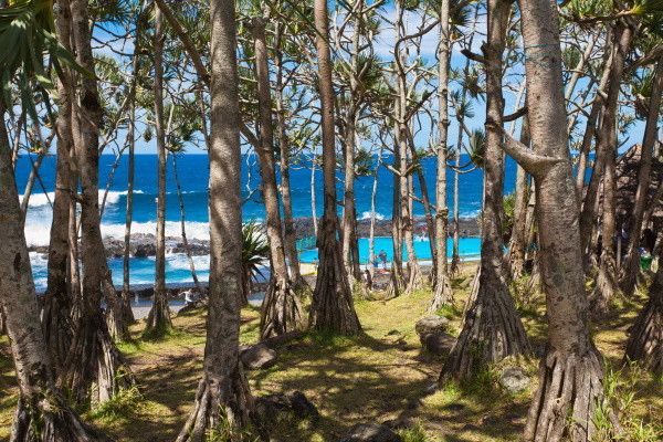 Autotour Terre d'Hibiscus pas cher photo 27