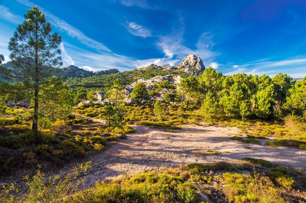 Sur la route : Grand Tour de Corse - Arrivée Bastia - 12J/11N pas cher photo 6
