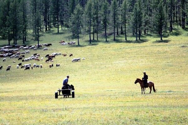Circuit Richesses au coeur des Steppes de Mongolie 3* pas cher photo 6