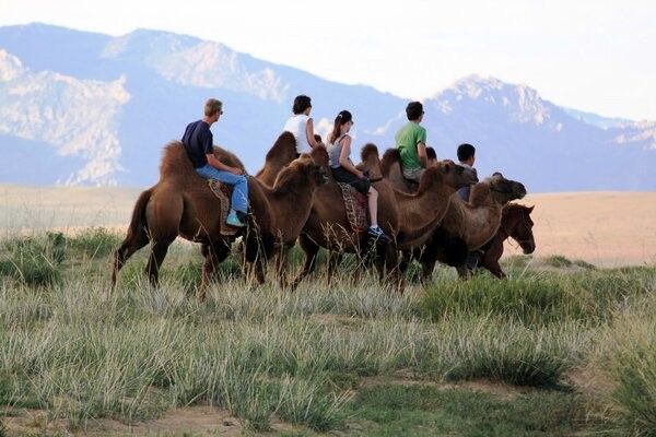Circuit Richesses au coeur des Steppes de Mongolie 3* pas cher photo 8