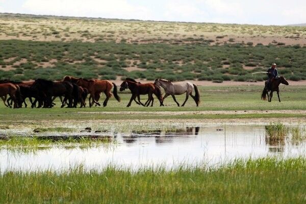 Circuit Richesses au coeur des Steppes de Mongolie 3* pas cher photo 17