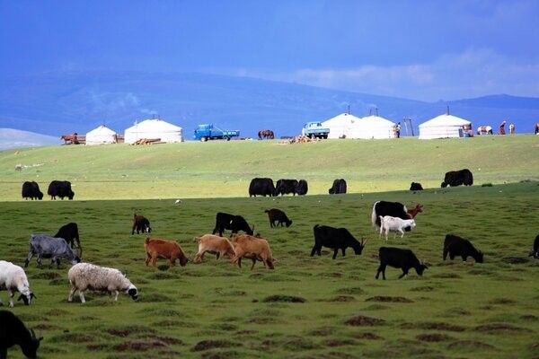 Circuit Richesses au coeur des Steppes de Mongolie 3* pas cher photo 21