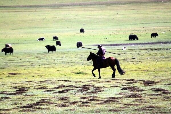 Circuit Richesses au coeur des Steppes de Mongolie 3* pas cher photo 22