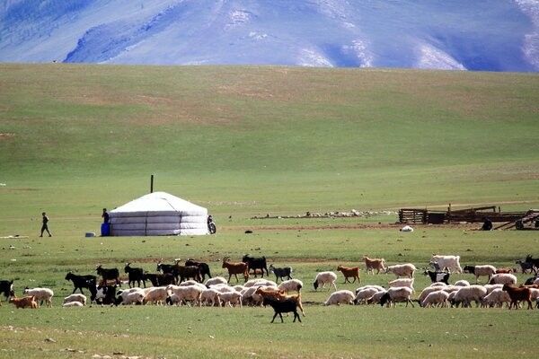 Circuit Richesses au coeur des Steppes de Mongolie 3* pas cher photo 25