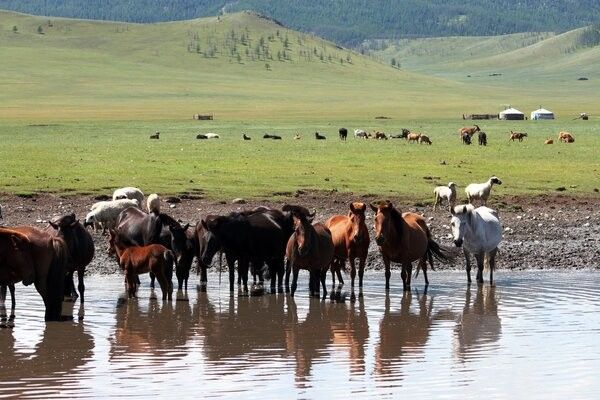 Circuit Richesses au coeur des Steppes de Mongolie 3* pas cher photo 27