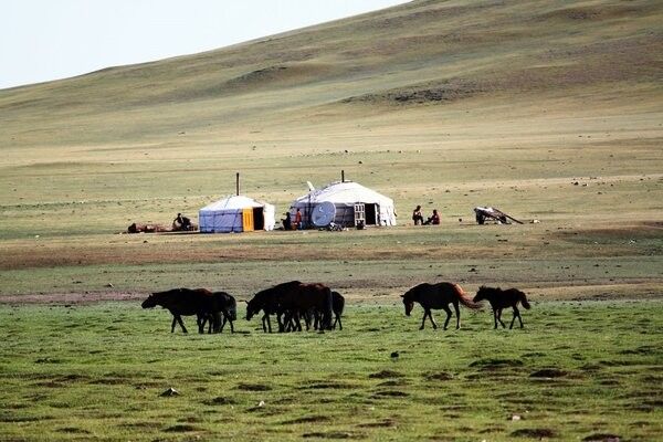 Circuit Richesses au coeur des Steppes de Mongolie 3* pas cher photo 29