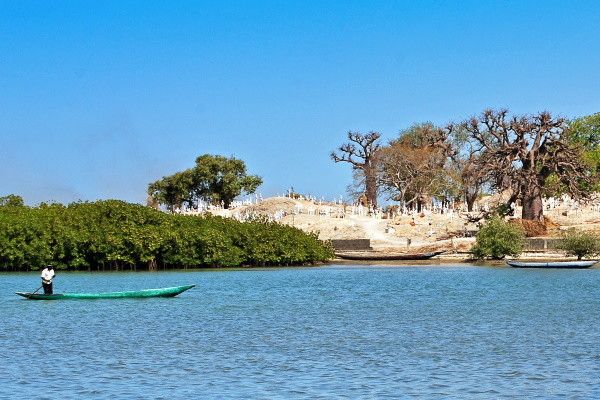 Circuit Beautés du Sénégal et balade avec les lions de Fathala + Extension Framissima Palm Beach pas cher photo 2