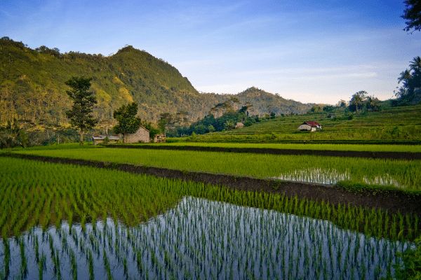 Combiné Mathis Collection Prestige : Umalas, Ubud, Amed et Gili Asahan pas cher photo 22