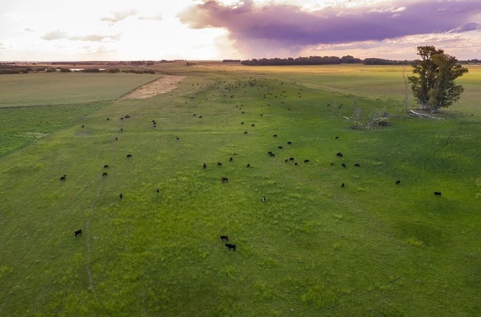 Circuit Privatif Evasion Inoubliable de l'Argentine au Brésil 3* pas cher photo 11