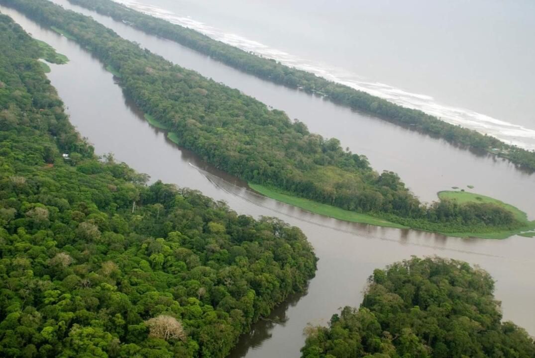 Autotour Road Trip Nature et Farniente au Costa Rica 2*-3* pas cher photo 6